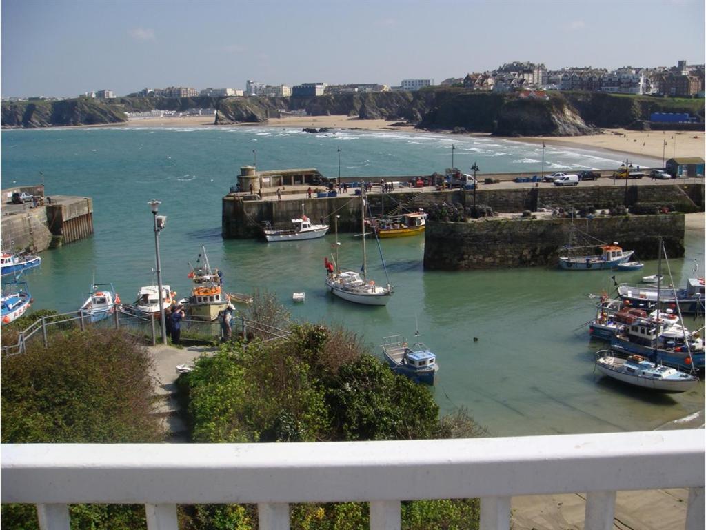 Harbour Hotel New Quay Exterior foto